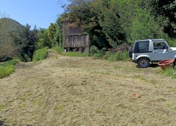 IMG20240414145238.jpg - Casa indipendente Via Campomarzio 9, Varazze - foto 4