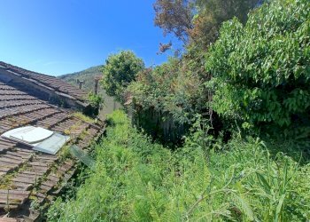 IMG20240414145509.jpg - Casa indipendente Via Campomarzio 9, Varazze - foto 19