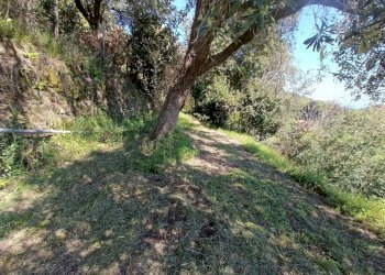 IMG20240414145527.jpg - Casa indipendente Via Campomarzio 9, Varazze - foto 20