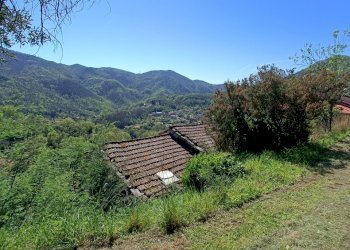 IMG20240414145532.jpg - Casa indipendente Via Campomarzio 9, Varazze - foto 22