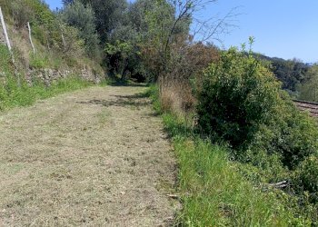 IMG20240414145612.jpg - Casa indipendente Via Campomarzio 9, Varazze - foto 24