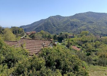 IMG20240414145636.jpg - Casa indipendente Via Campomarzio 9, Varazze - foto 26