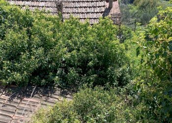 IMG20240414145650.jpg - Casa indipendente Via Campomarzio 9, Varazze - foto 27