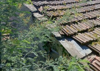 IMG20240414145718.jpg - Casa indipendente Via Campomarzio 9, Varazze - foto 29