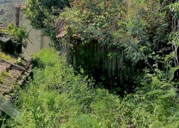 IMG20240414145720.jpg - Casa indipendente Via Campomarzio 9, Varazze - foto 30