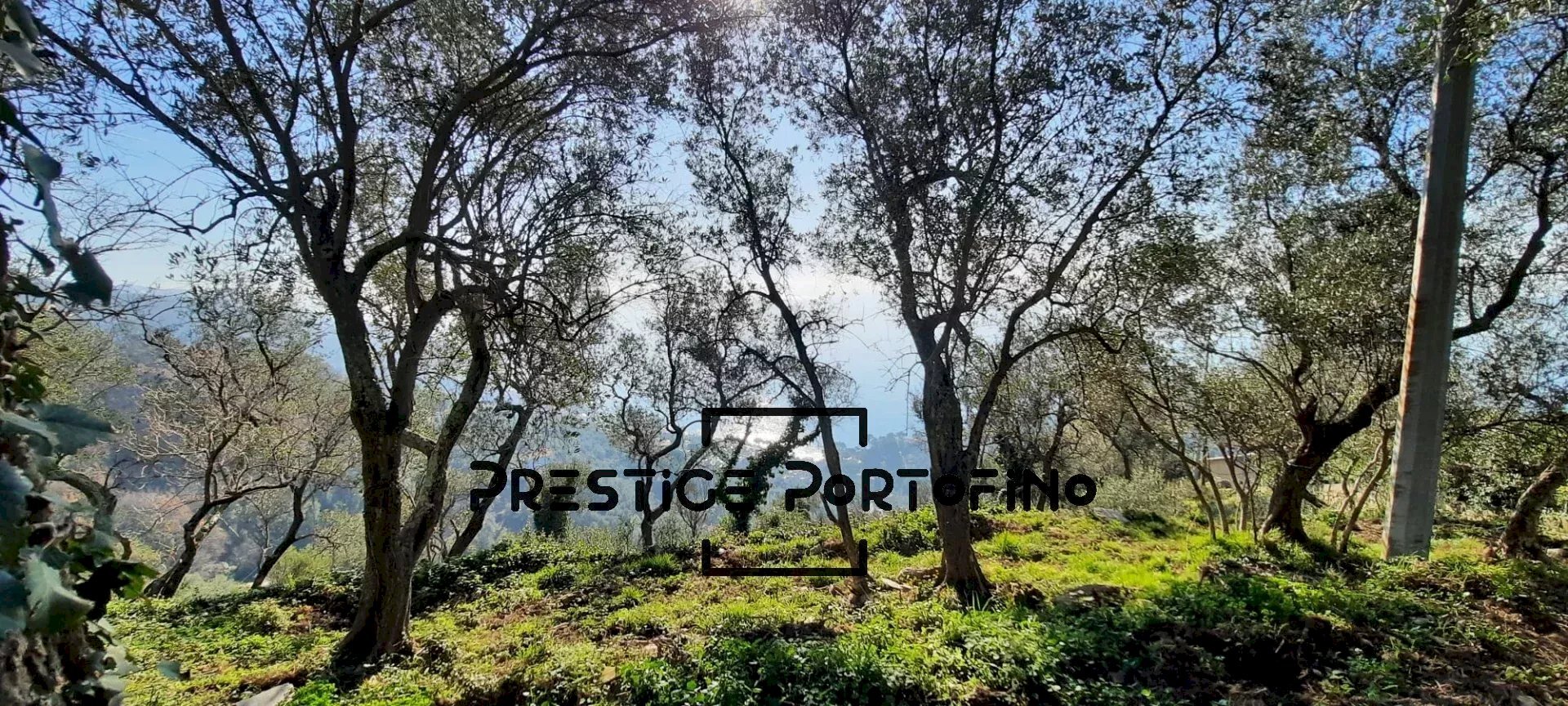 Casale Zoagli - foto 3