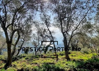 Casale Zoagli - foto 3