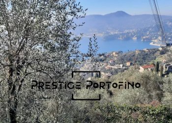 Casale Zoagli - foto 4