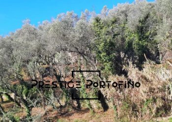 Casale Zoagli - foto 7