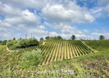 Terreno edificabile Località Valbissera, San Colombano al Lambro - foto 5