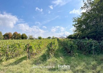 Terreno edificabile Località Valbissera, San Colombano al Lambro - foto 11