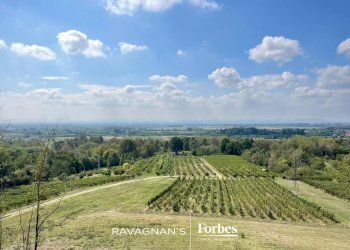 Terreno edificabile Località Valbissera, San Colombano al Lambro - foto 13