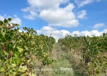 Terreno edificabile Località Valbissera, San Colombano al Lambro - foto 37