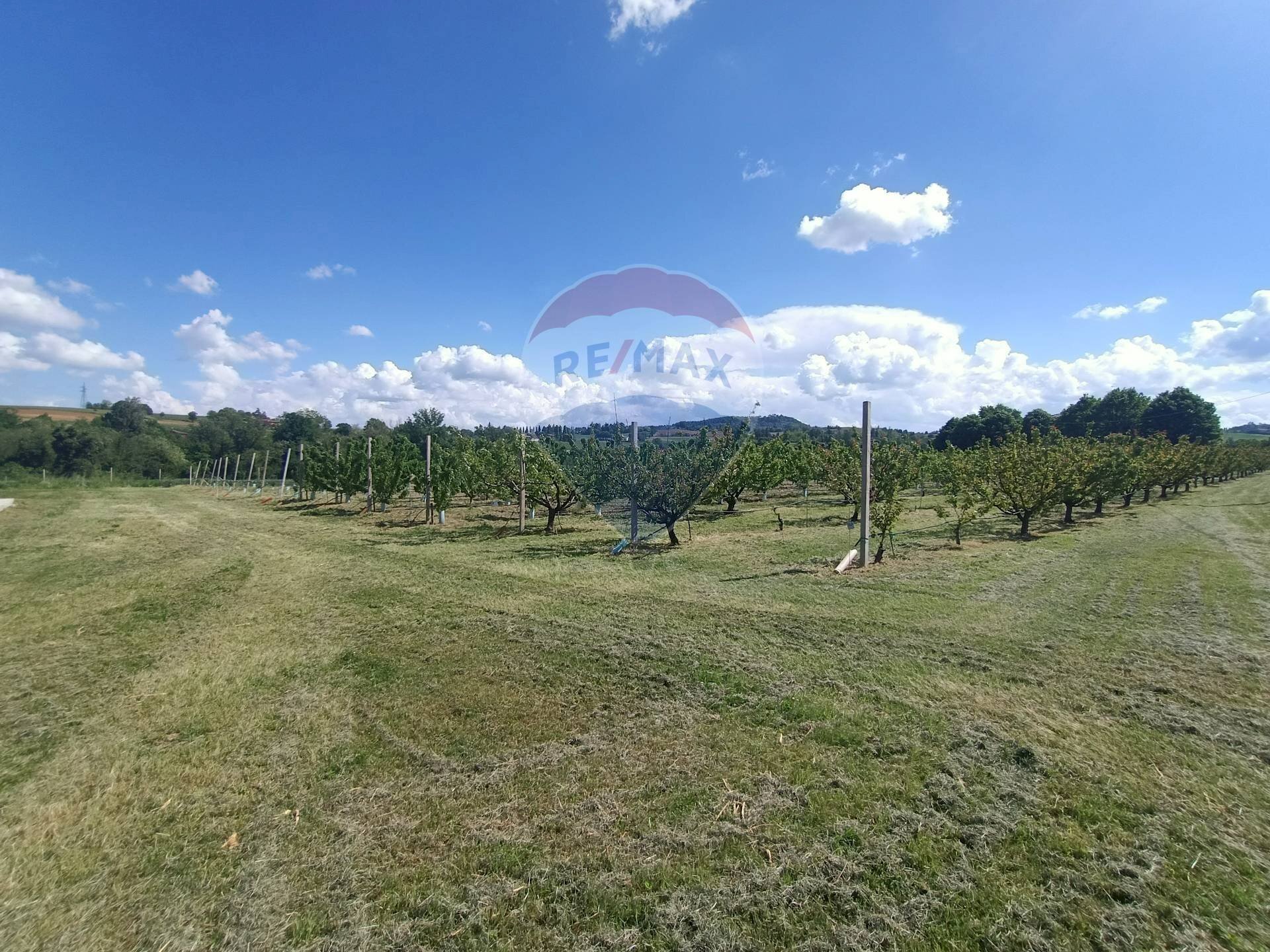 Terreno edificabile via Motta, 11 
 Bazzano, Valsamoggia (zona San Lazzaro) - foto 1