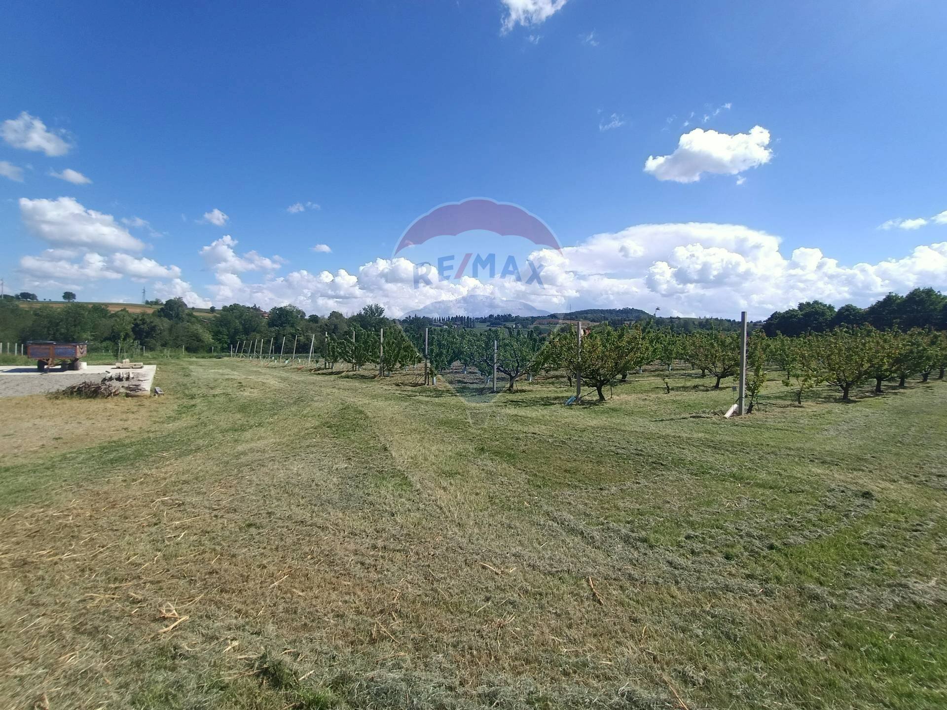 Terreno edificabile via Motta, 11 
 Bazzano, Valsamoggia (zona San Lazzaro) - foto 3