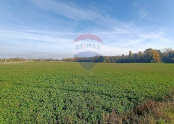 Terreno edificabile via Motta, 11 
 Bazzano, Valsamoggia (zona San Lazzaro) - foto 5