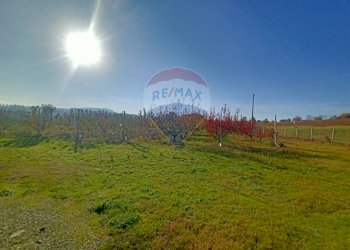 Terreno edificabile via Motta, 11 
 Bazzano, Valsamoggia (zona San Lazzaro) - foto 14