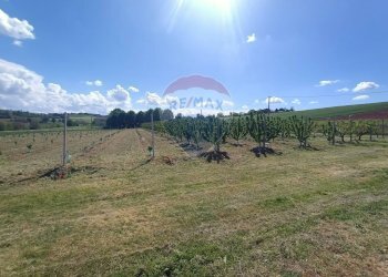 Terreno edificabile via Motta, 11 
 Bazzano, Valsamoggia (zona San Lazzaro) - foto 7