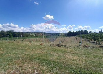 Terreno edificabile via Motta, 11 
 Bazzano, Valsamoggia (zona San Lazzaro) - foto 9