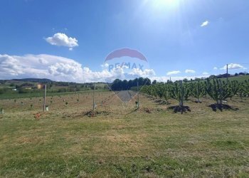 Terreno edificabile via Motta, 11 
 Bazzano, Valsamoggia (zona San Lazzaro) - foto 10