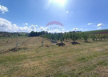 Terreno edificabile via Motta, 11 
 Bazzano, Valsamoggia (zona San Lazzaro) - foto 11