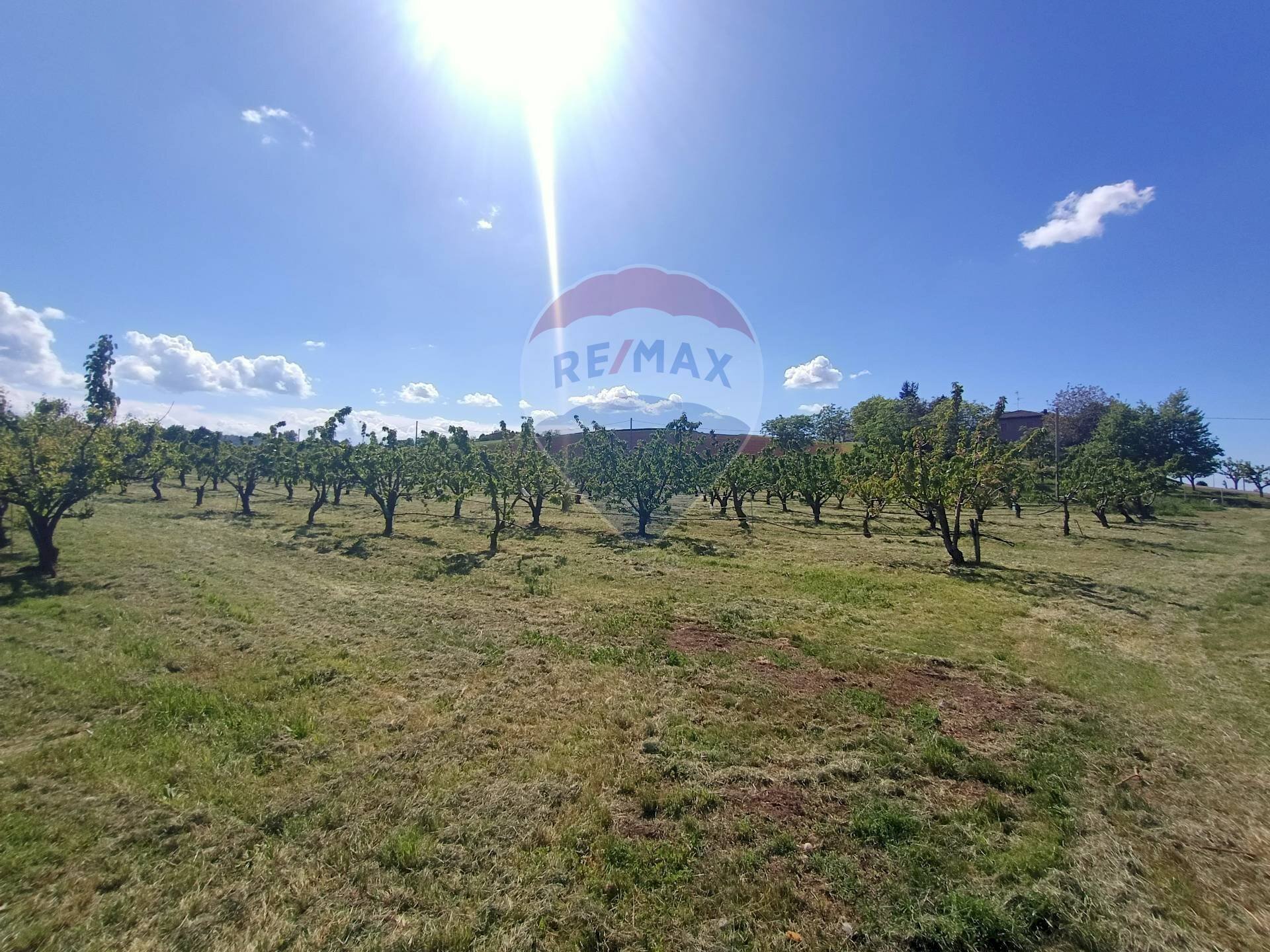 Terreno edificabile via Motta, 10 
 Bazzano, Valsamoggia (zona San Lazzaro) - foto 2