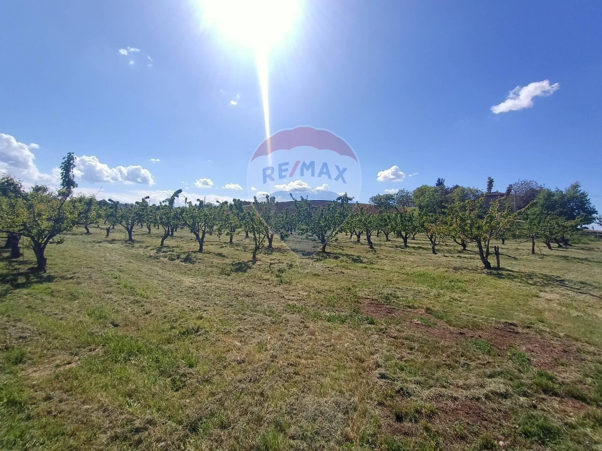Terreno edificabile via Motta, 10 
 Bazzano, Valsamoggia (zona San Lazzaro) - foto 3