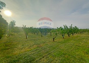 Terreno edificabile via Motta, 10 
 Bazzano, Valsamoggia (zona San Lazzaro) - foto 7