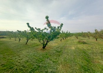 Terreno edificabile via Motta, 10 
 Bazzano, Valsamoggia (zona San Lazzaro) - foto 8