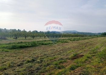 Terreno edificabile via Motta, 10 
 Bazzano, Valsamoggia (zona San Lazzaro) - foto 11