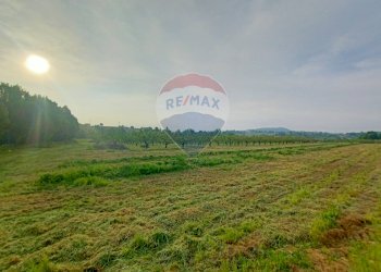 Terreno edificabile via Motta, 10 
 Bazzano, Valsamoggia (zona San Lazzaro) - foto 12