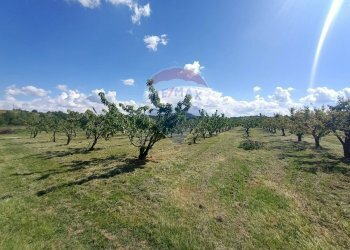 Terreno edificabile via Motta, 10 
 Bazzano, Valsamoggia (zona San Lazzaro) - foto 1