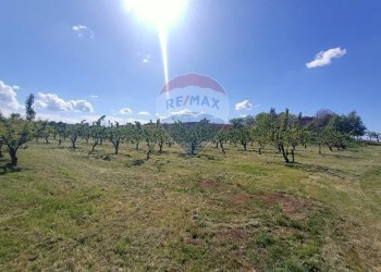 Terreno edificabile via Motta, 10 
 Bazzano, Valsamoggia (zona San Lazzaro) - foto 2