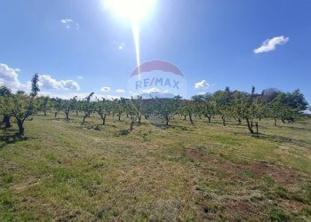 Terreno edificabile via Motta, 10 
 Bazzano, Valsamoggia (zona San Lazzaro) - foto 3