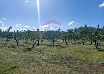 Terreno edificabile via Motta, 10 
 Bazzano, Valsamoggia (zona San Lazzaro) - foto 4