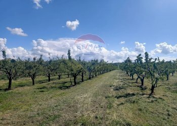 Terreno edificabile via Motta, 10 
 Bazzano, Valsamoggia (zona San Lazzaro) - foto 5