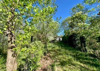 Casa indipendente Via gay, Prarostino - foto 10