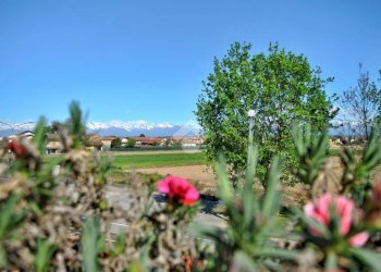 Quadrilocale Via Roma, Livorno Ferraris - foto 24