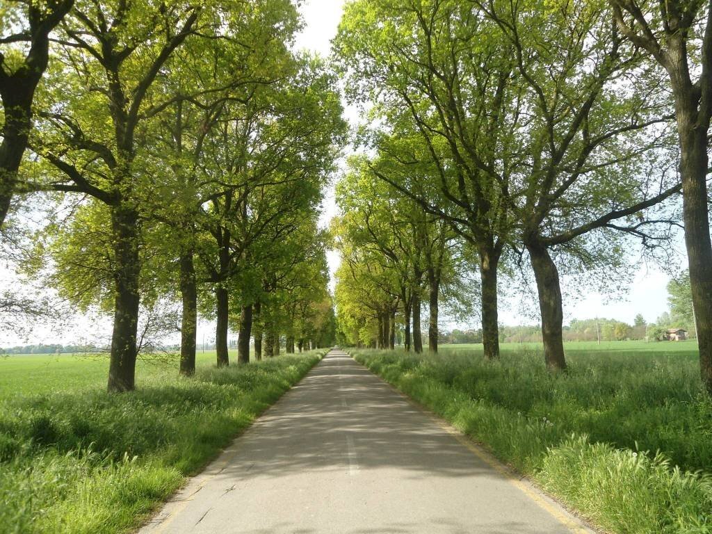 Zona - Rustic via Lame, Argelato - photo 2