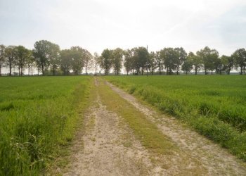 STRADA - Rustico via Lame, Argelato - foto 3