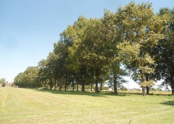 viale querce - Rustico via Lame, Argelato - foto 11