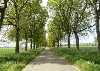 VIALE - Rustico via Lame, Argelato - foto 12