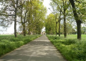 VIALE - Rustico via Lame, Argelato - foto 13