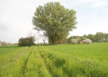 FRONTE - Rustico via Lame, Argelato - foto 18