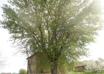 FRONTE - Rustico via Lame, Argelato - foto 19