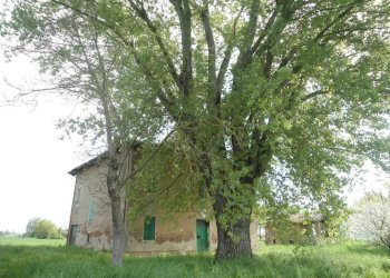 FRONTE - Rustico via Lame, Argelato - foto 38