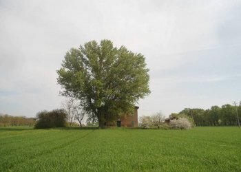 VISTA DA LONTANO - Rustico via Lame, Argelato - foto 17