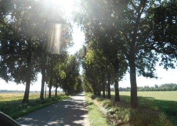 viale alberato - Rustico via Lame, Argelato - foto 20