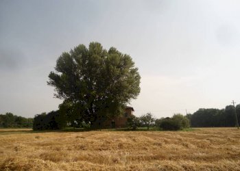 da lontano - Rustico via Lame, Argelato - foto 39