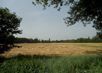 panorama - Rustico via Lame, Argelato - foto 45